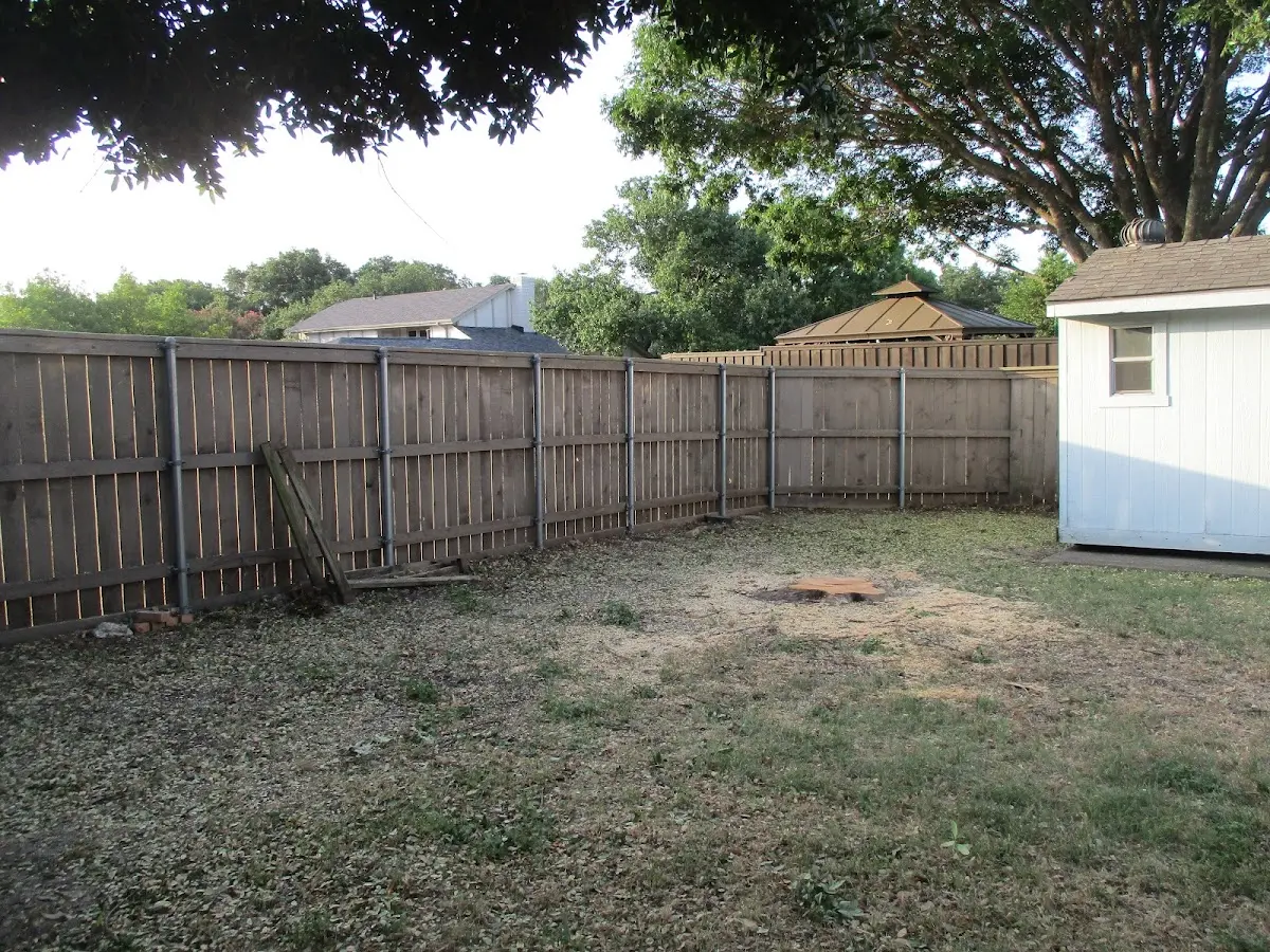 Cleared yard after professional tree removal in Minooka