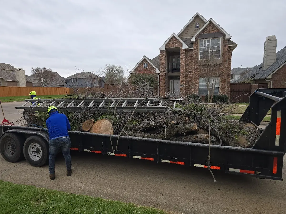 Expert Lot Clearing with proper safety equipment in Minooka